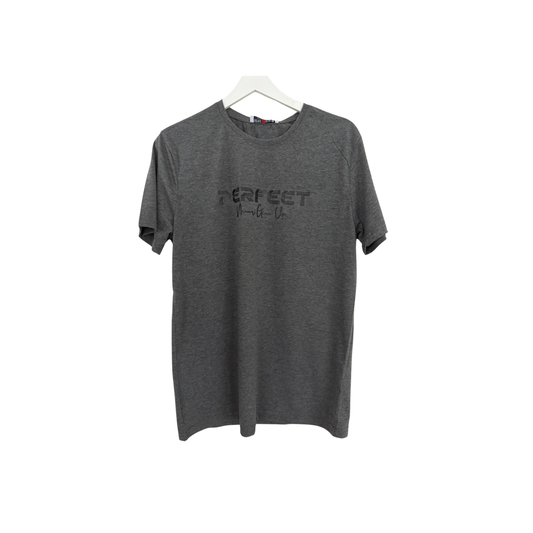 Erkek Gri Basic T-shirt – Perfect Baskı